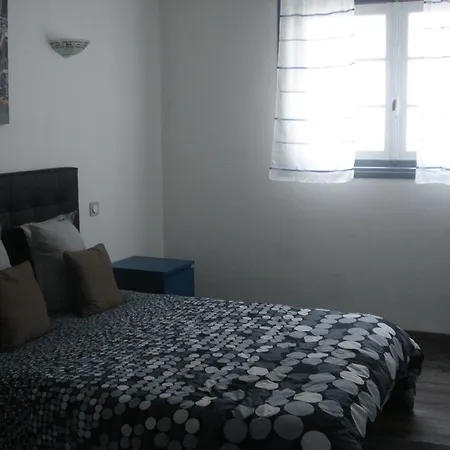 짓트 이자슈로 생장피드포르